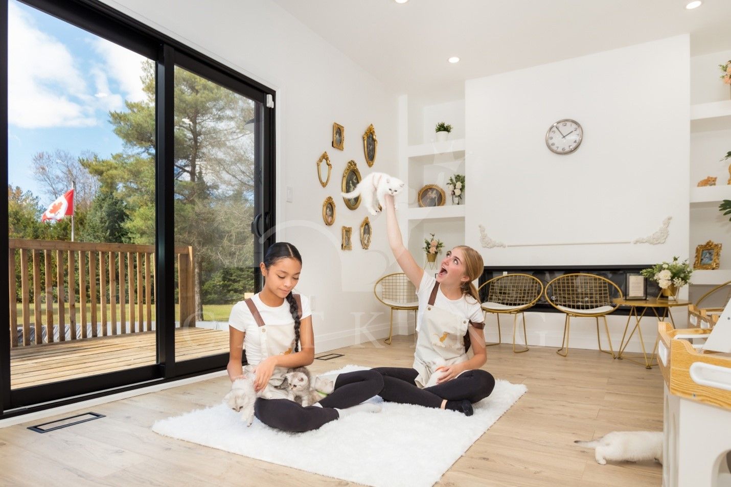 Two girls playing with kittens in a house