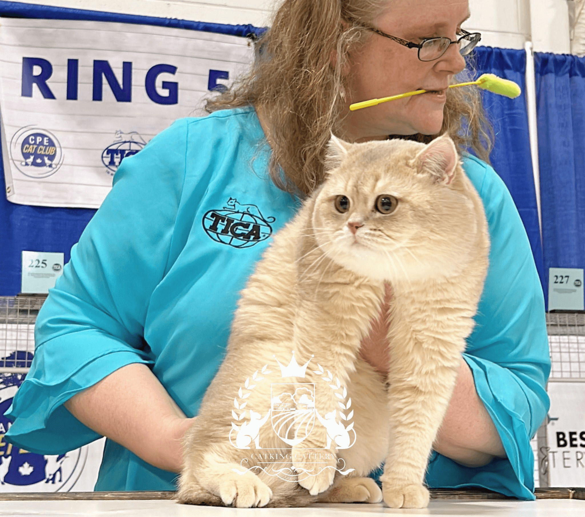 A person holding a show cat